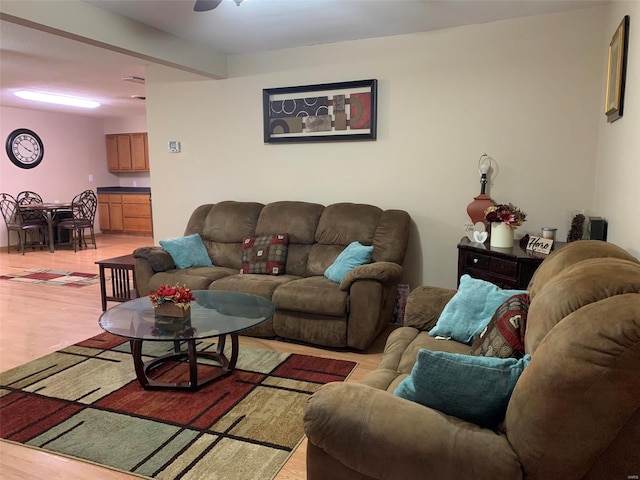 living room featuring light hardwood / wood-style flooring