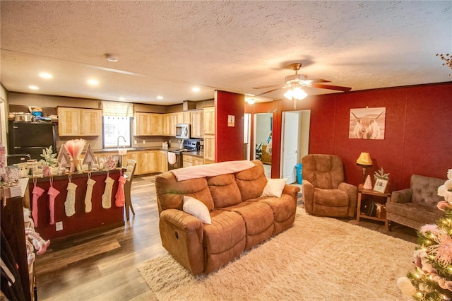 living room with ceiling fan, sink, wood-type flooring, and a textured ceiling