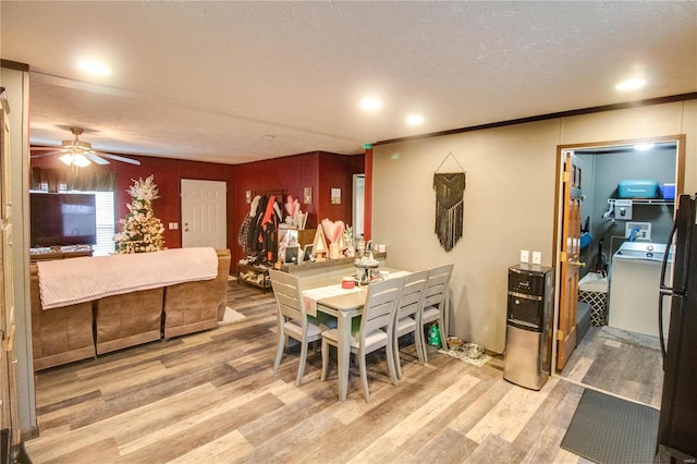 dining room with ceiling fan, light hardwood / wood-style floors, and a textured ceiling