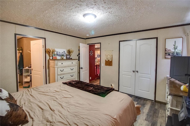 bedroom featuring a textured ceiling, crown molding, dark wood-type flooring, and connected bathroom