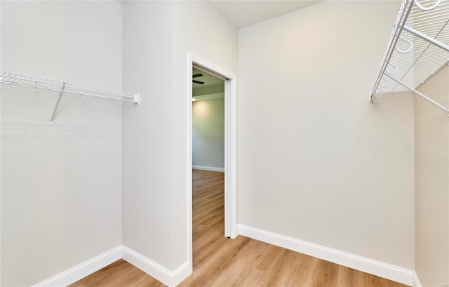 spacious closet with hardwood / wood-style flooring