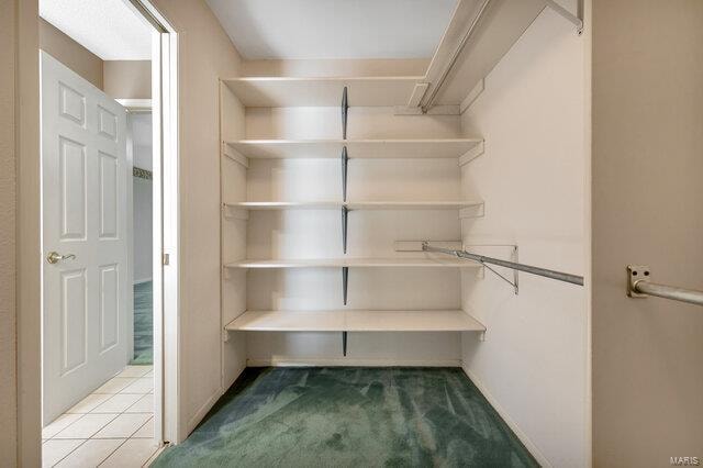 spacious closet with carpet