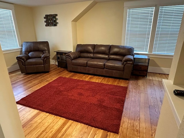 living room with hardwood / wood-style flooring