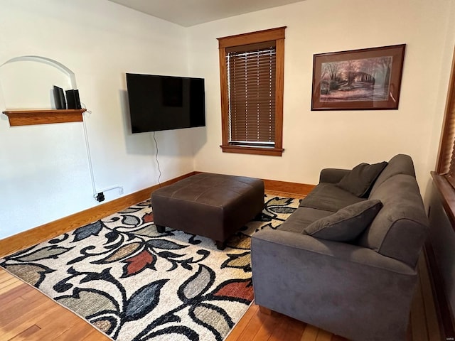 living room featuring wood-type flooring