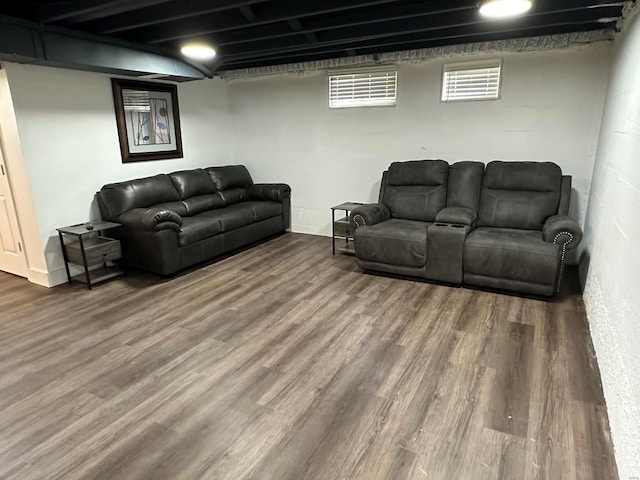 living room featuring wood-type flooring