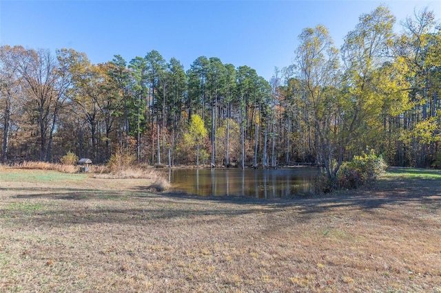 view of yard with a water view