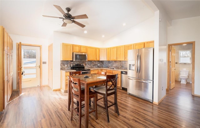 kitchen with ceiling fan, decorative backsplash, wood-type flooring, and stainless steel appliances