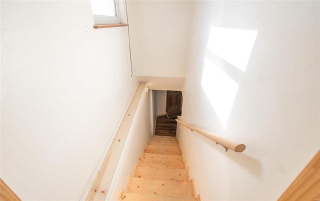 stairway with hardwood / wood-style flooring