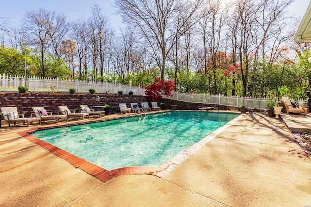 view of swimming pool with a patio