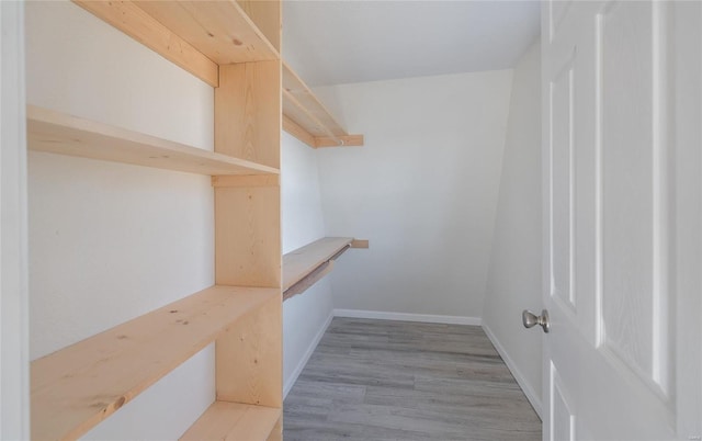 walk in closet featuring light wood-type flooring