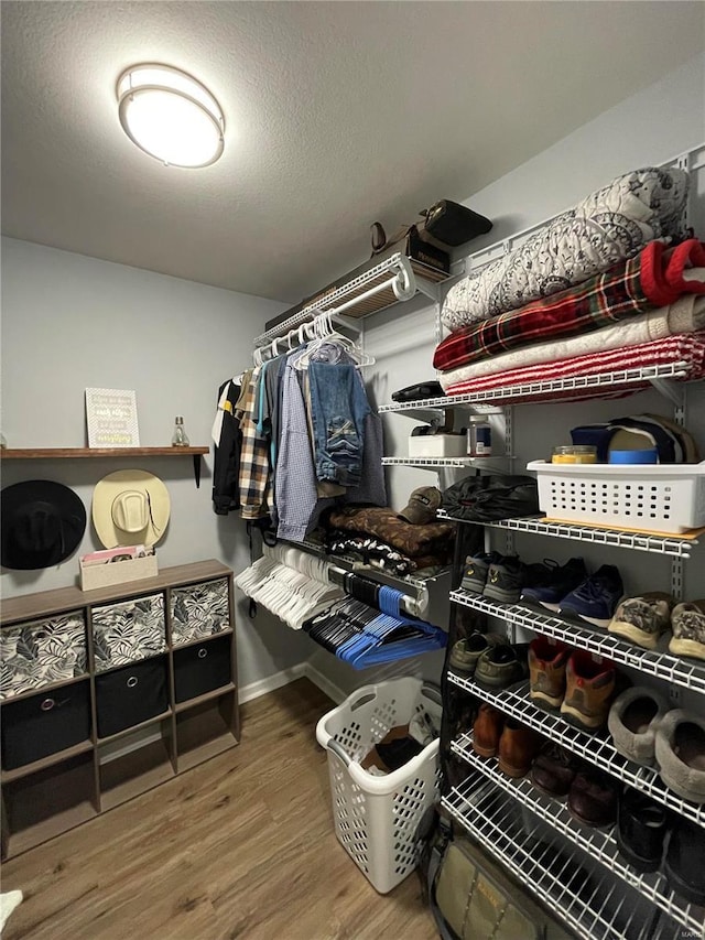 spacious closet featuring wood-type flooring