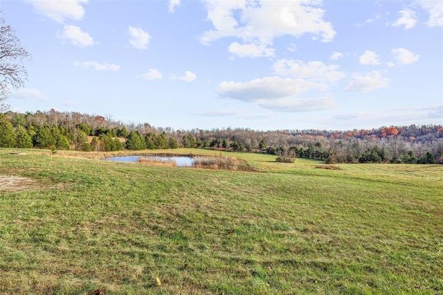 view of yard featuring a water view