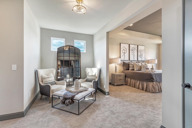 sitting room featuring carpet flooring