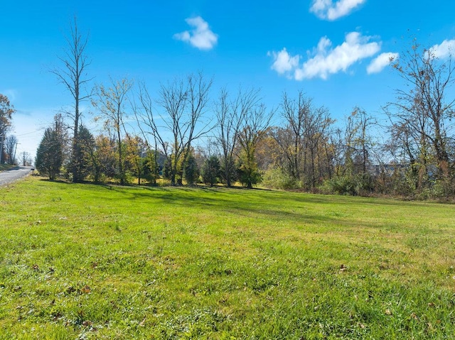 540 E Broadway, Sparta IL, 62286 land for sale