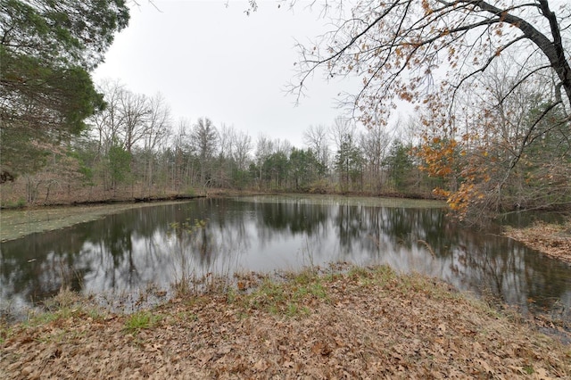 view of water feature