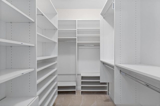 view of spacious closet