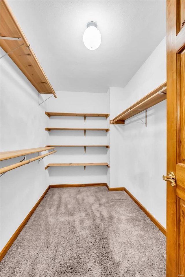 spacious closet with carpet