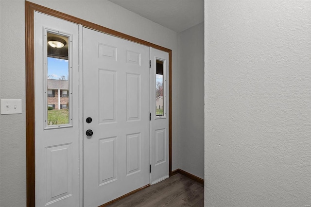 foyer entrance featuring dark wood-type flooring