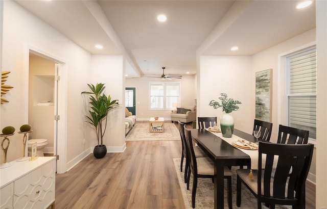 dining space with ceiling fan and light wood-type flooring