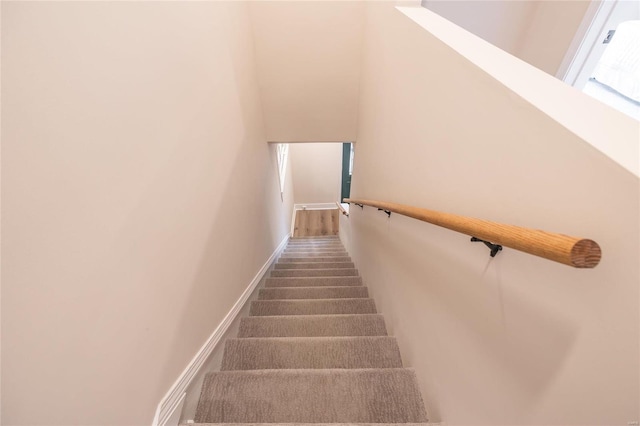 staircase with carpet floors