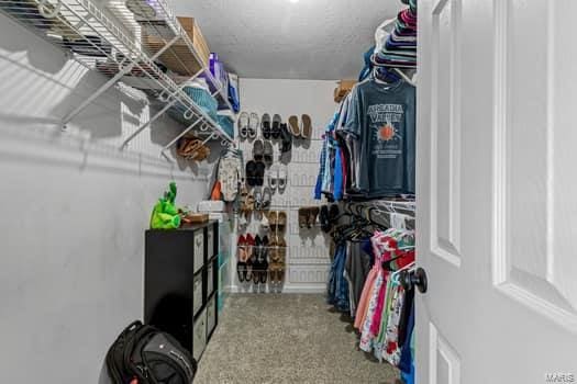 walk in closet with carpet