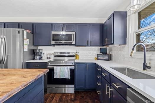 kitchen featuring blue cabinetry, dark hardwood / wood-style flooring, sink, and stainless steel appliances