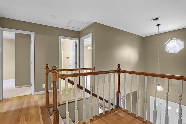 staircase with wood-type flooring