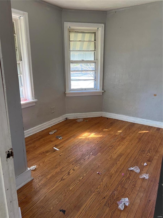 empty room with wood-type flooring