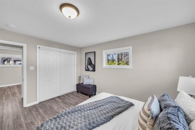 bedroom featuring wood-type flooring and a closet