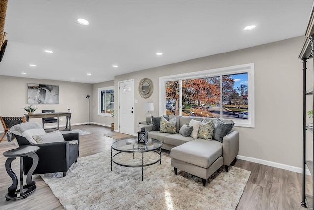 living room with wood-type flooring