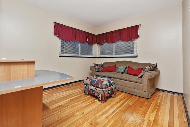 living room featuring wood-type flooring