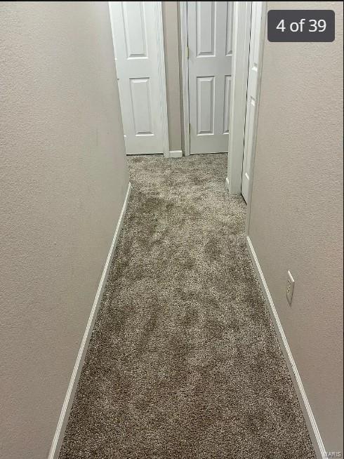 corridor featuring carpet flooring