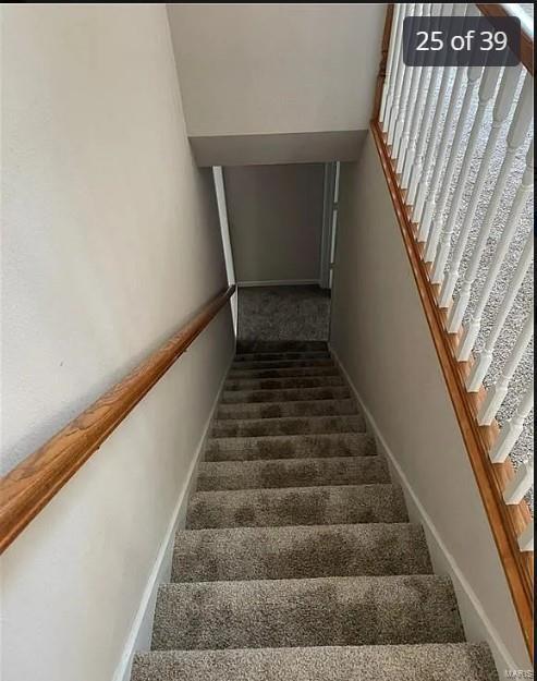 stairs featuring carpet floors