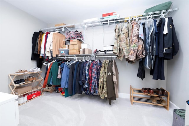 spacious closet featuring carpet flooring