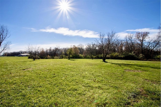 view of yard featuring a rural view