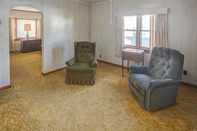 sitting room with carpet and a wealth of natural light