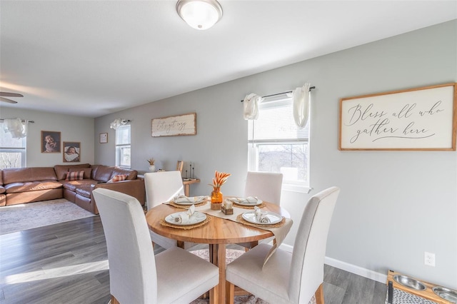 dining area featuring plenty of natural light and dark hardwood / wood-style floors