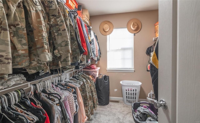 walk in closet featuring light carpet