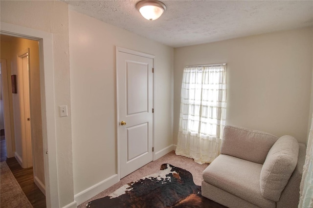 sitting room featuring carpet flooring and a textured ceiling