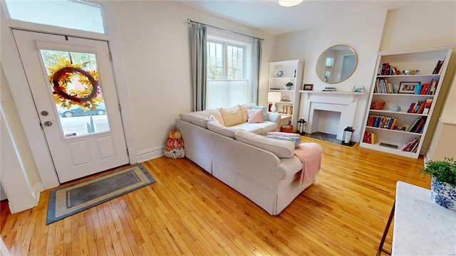 living room featuring wood-type flooring