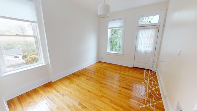 interior space with hardwood / wood-style floors and a healthy amount of sunlight