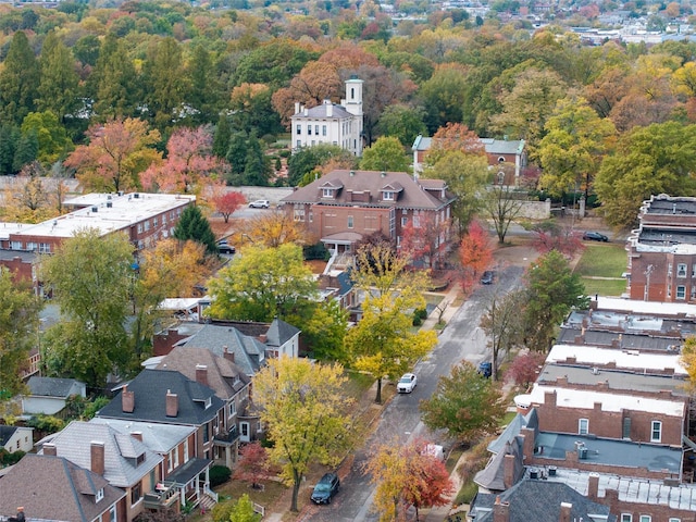 drone / aerial view