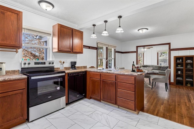 kitchen featuring stainless steel electric range, dishwasher, sink, hanging light fixtures, and a wealth of natural light