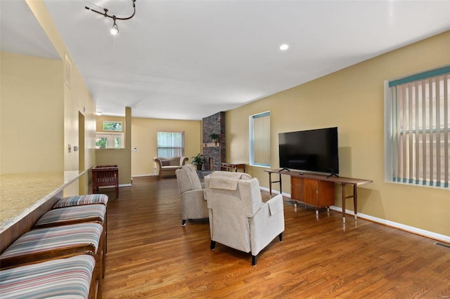 living room with a fireplace and hardwood / wood-style flooring