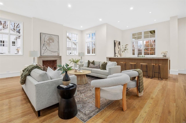 living room featuring light hardwood / wood-style flooring