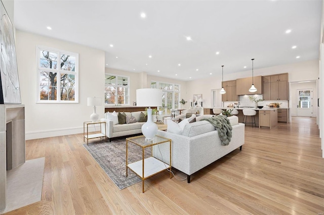 living room with light hardwood / wood-style flooring