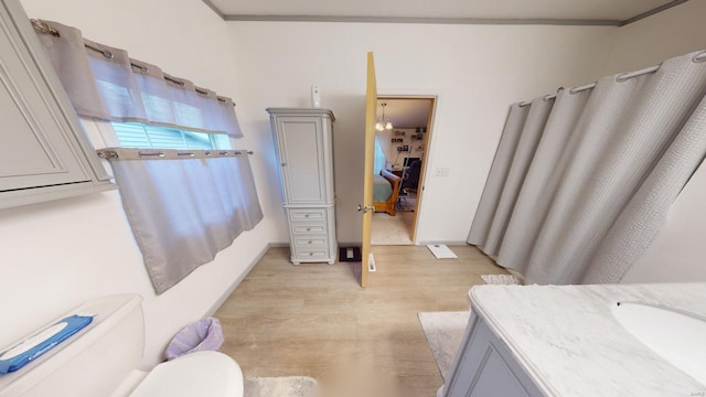 bathroom with crown molding, vanity, wood-type flooring, and toilet