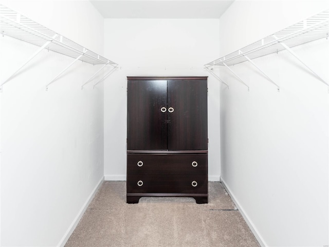 spacious closet with light colored carpet