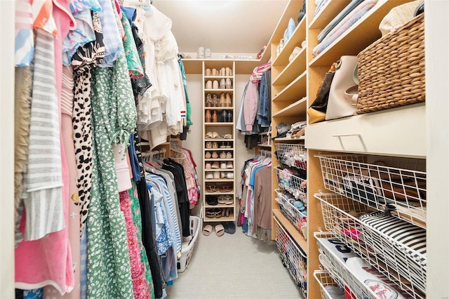 spacious closet featuring carpet flooring