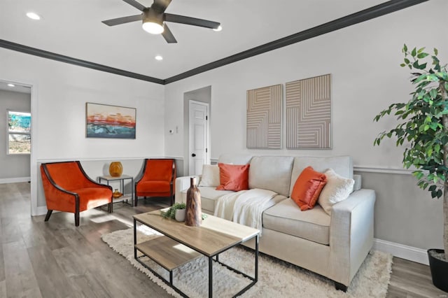 living room featuring ceiling fan, wood-type flooring, and crown molding